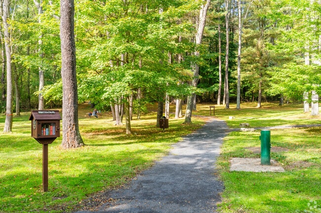 Enjoy the outdoor adventure with your friends for a walk or picnic at Lederer Park.