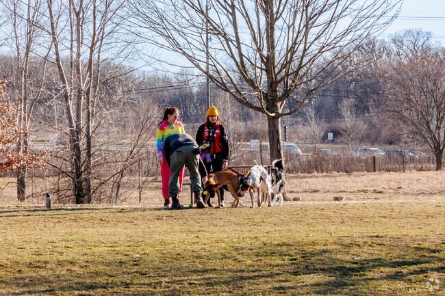 Lakewood Dog Park is an off-leash area where dogs can interact with each other.
