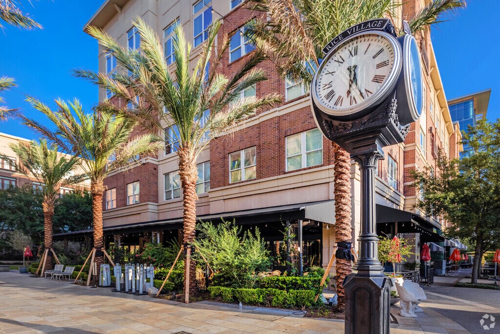 About University Place Schools, Demographics, Things to Do