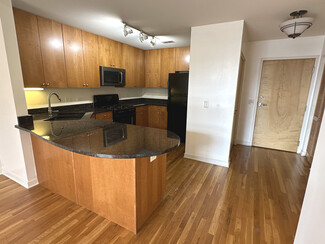 1935 S Archer Ave Unit 226, Chicago, IL 60616