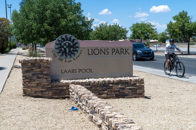 Bring the whole family to enjoy an afternoon of play at Lions Park.