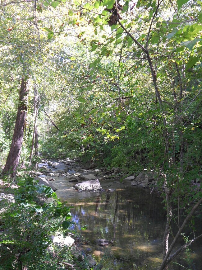 Kohler Creek