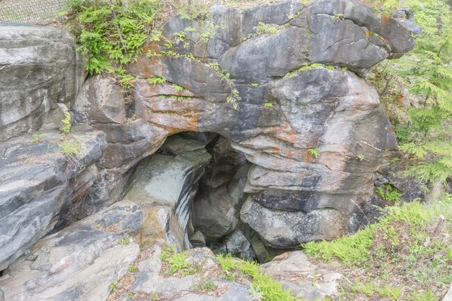 Carved from the natural marble over millions of years, a rushing torrent has sculpted the bridge in the Natural Bridge State Park near Clarksburg.
