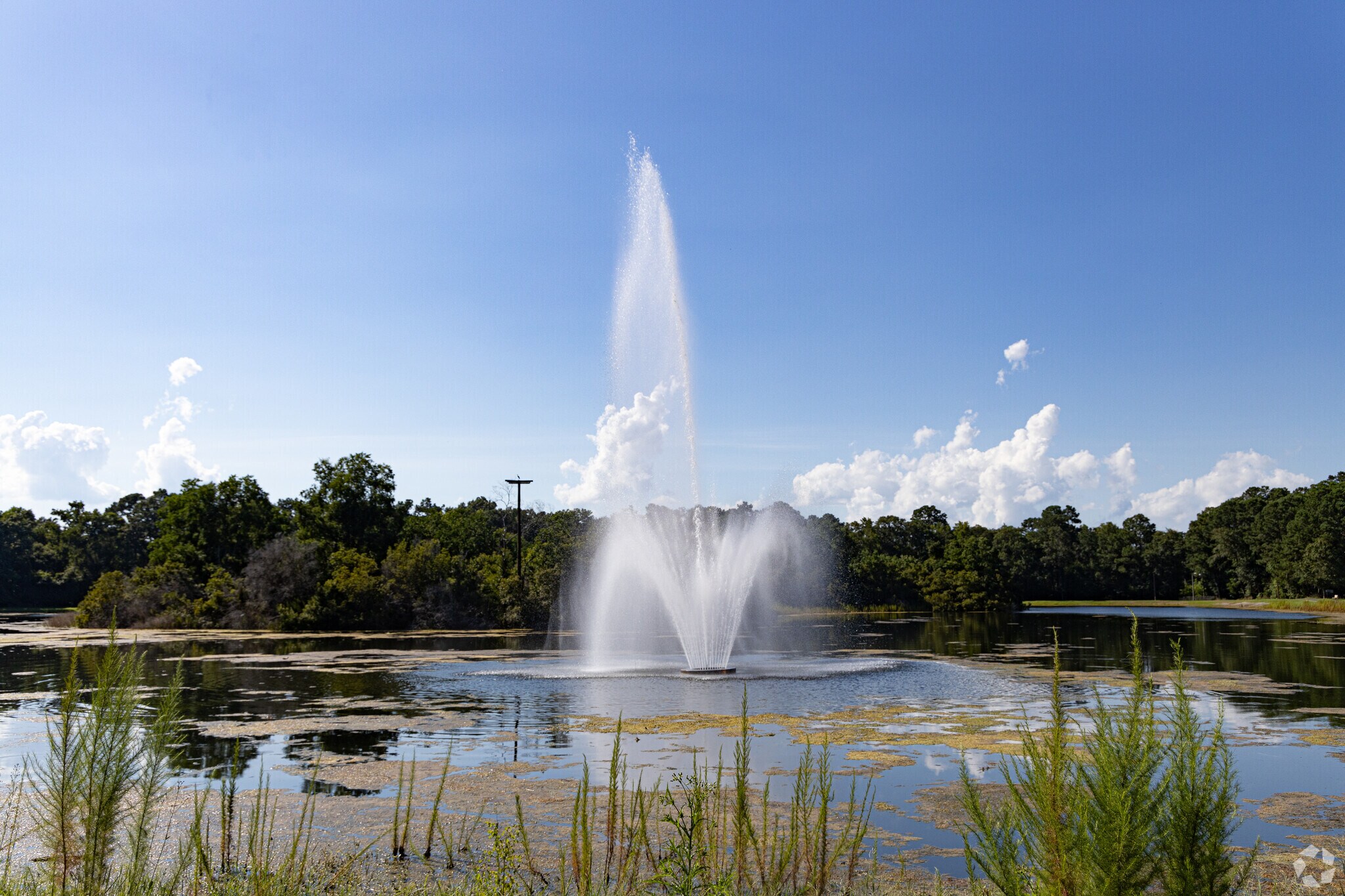 Walk the trails around the pond at Joseph Tribble Park.