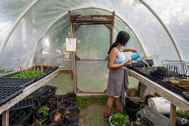 The 24 Carrot Garden provides youth gardening programs in Saint Claude.