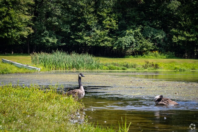 Pocono Haven's quiet forests and natural wonder makes for a glorious place to call home.