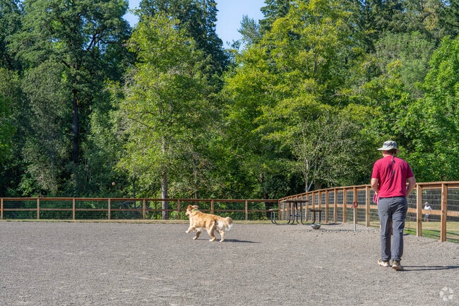 Dogs love the off-leash dog park at Waluga Park West.