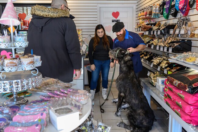 Woof Gang Bakery & Grooming is every Allendale dog's favorite spot for fresh baked treats.