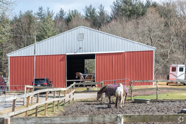 Learn to ride at Stonecroft Farm in West Bridgwater.