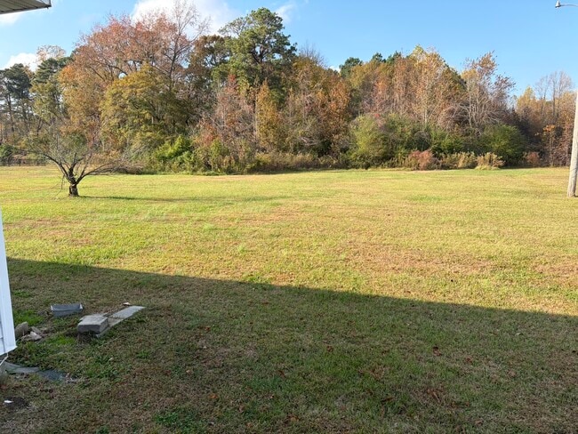 3099 Avon Rd, Greenville, NC 27858 - photo 7