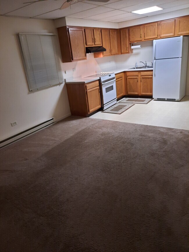 24636 W Sodman Ct unit in law apartment, Antioch, IL 60002 - photo 6