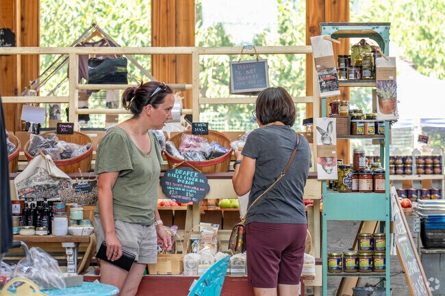 The Drapery Girls Country farm has a lot of cider for sale.