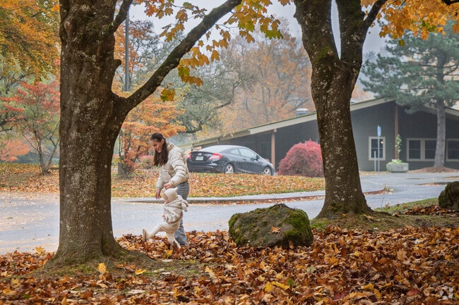 Families in Wood Village create lasting memories at Donald L. Robertson City Park.