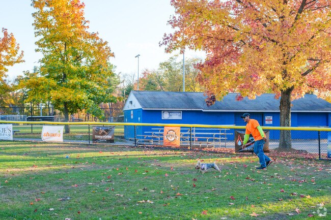 Veterans Memorial Park in The East End has plenty of space for fetch during the off season.
