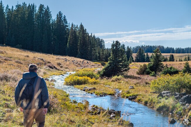 Hike along the trials high up on the Grand Mesa located near East Orchard Mesa.