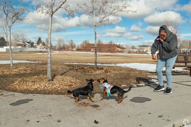 Dogs get to know each other at Lodestone Park in Kearns.