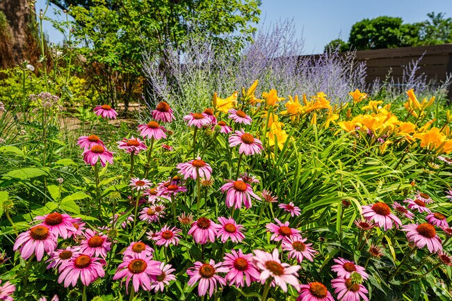 Colonial Heights is adorned with blooming flowers and lush greenery.