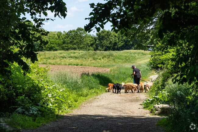 The trails of Callahan State Park are a favorite spot for Nobscot pups to walk.