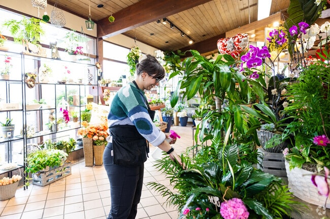 A florist tends to the flowers at Phillip's Flowers & Gifts in La Grange Park.