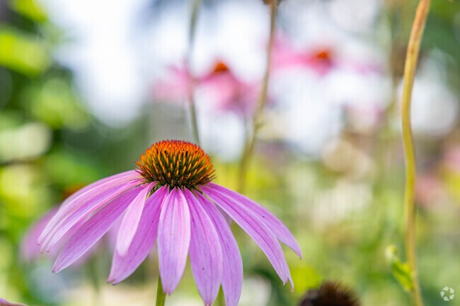 Beauty is all over Menominee South.