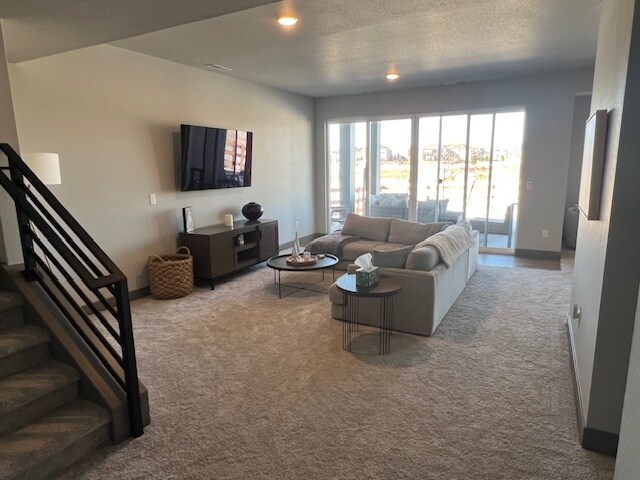 8950 Frolic View, Colorado Springs, CO 80924 - photo 5