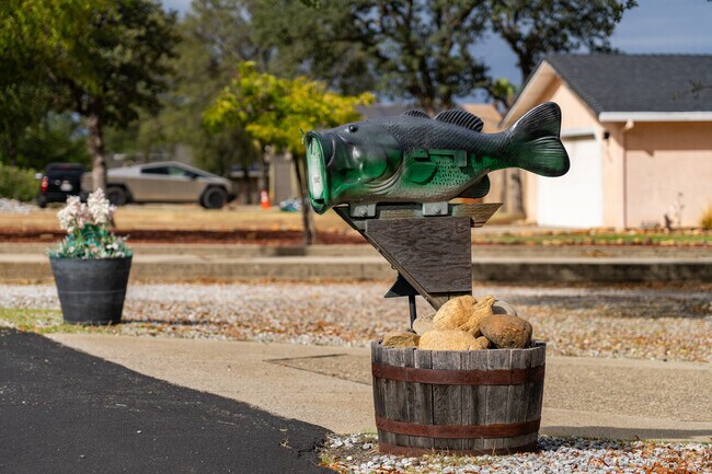 Fish‑themed mailbox adds a touch of lake life in Cottonwood.