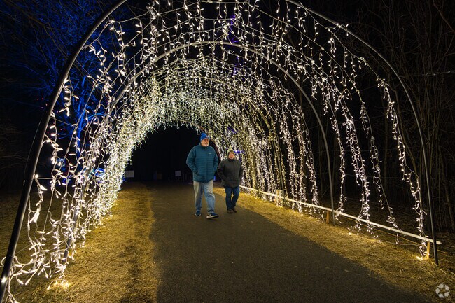 Oak Brook residents walk through a tunnel of lights in Central Park during Winter Lights.
