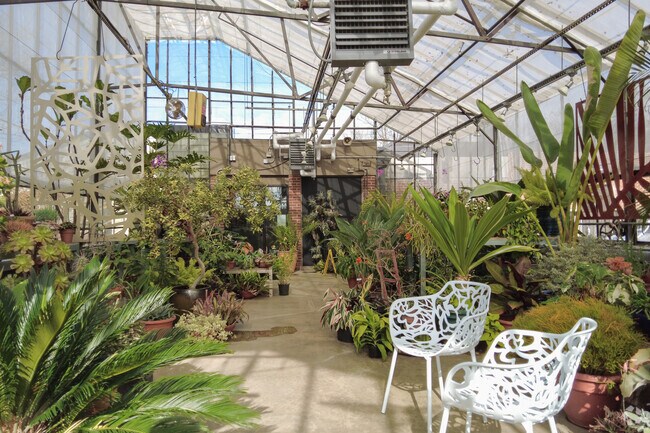Green Spring Garden Park has a greenhouse available for visitors.