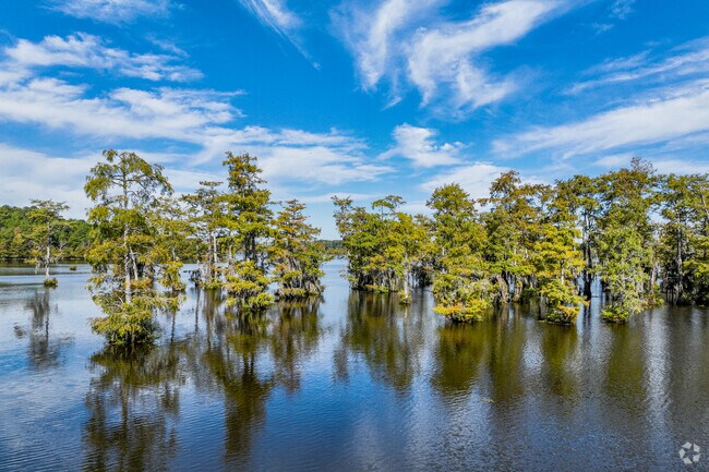 Black Bayou Lake borders Vivian to the north.