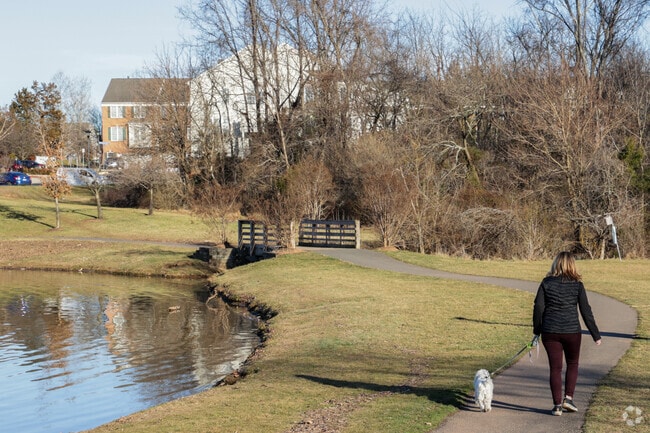 Locals can take their dogs for a stroll in Lyndora Park in Loudoun Valley Estates.