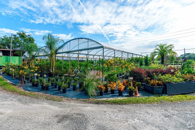 Pell's Citrus and Nursery in Osteen offers a variety of plants and flowers.