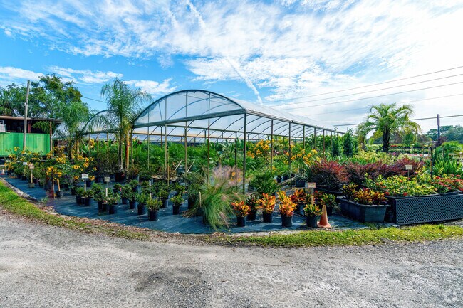 Pell's Citrus and Nursery in Osteen offers a variety of plants and flowers.