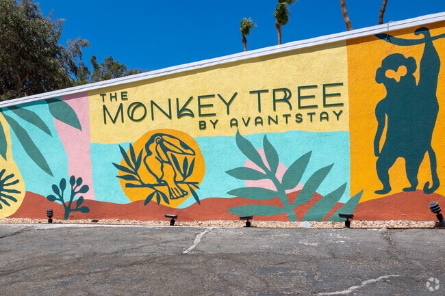 Turning a blank canvas into a Desert Park Estates masterpiece.