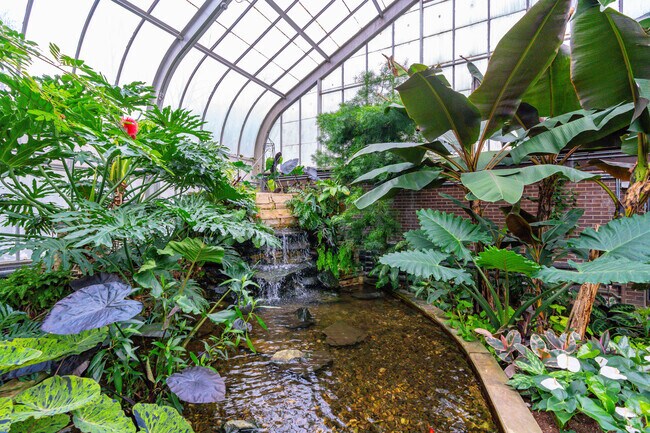 Waterfalls and endless greenery are a peaceful scene at Brookside Gardens in Wheaton.