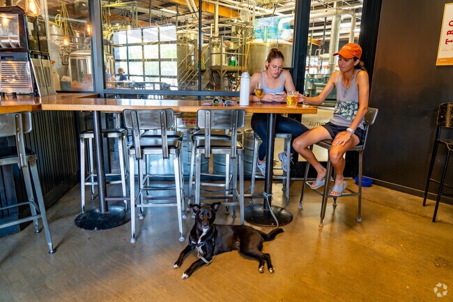 Caraleigh residents can bring their furry friends to Trophy Brewing Company.