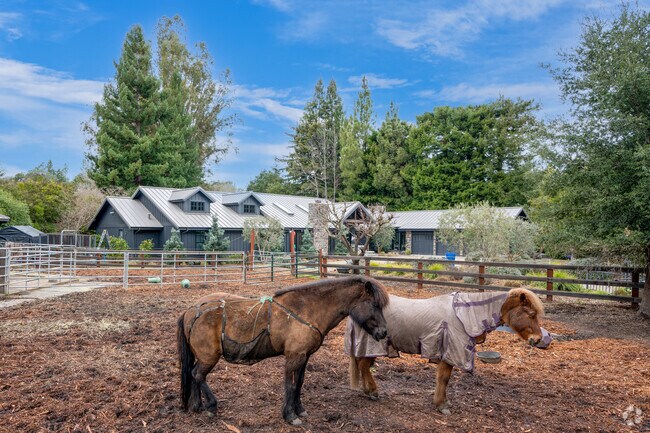 Nestled in Portola Valley, horses graze in front of this charming ranch-style haven.