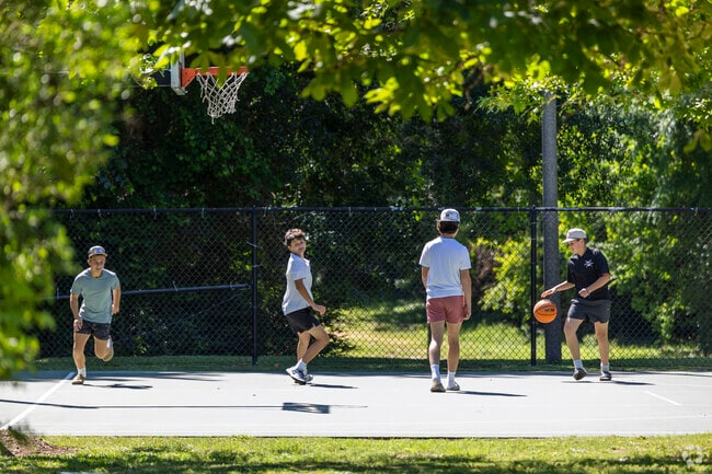 Residents play pick up games at Forest Island Park in Wood Forest.