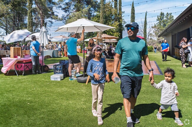 The Creative Babe Pop-Up Market at Falkner Winery is a family-friendly event.