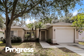 1226 Franford Dr, Brandon, FL 33511