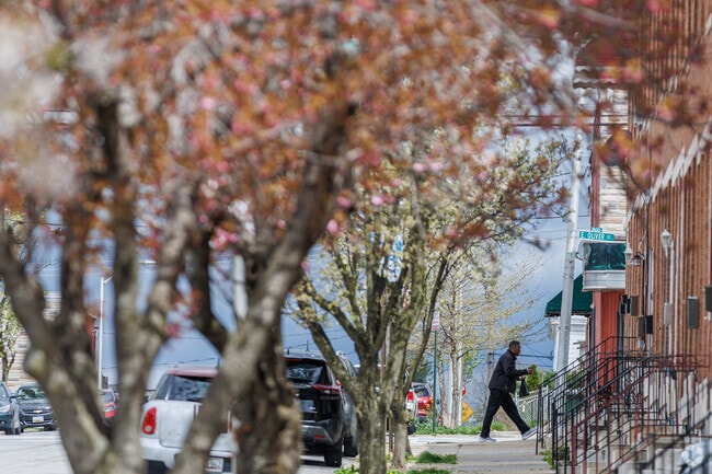 Residents of Biddle Street enjoy a stroll along tree-lined sidewalks.