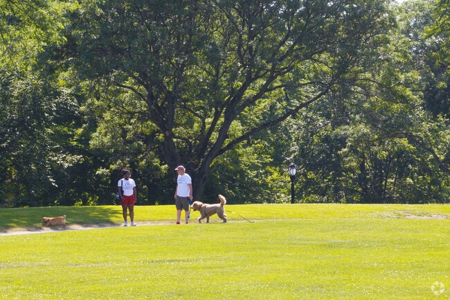 Washington Park spans 81 acres and hosts seasonal events near downtown Albany.