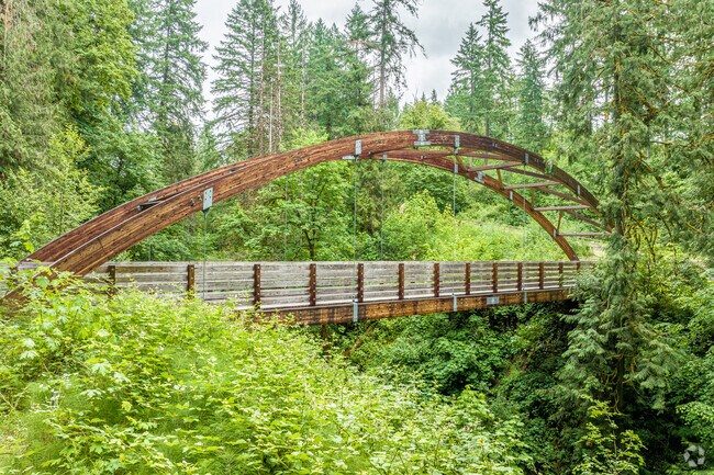 The Foot Bridge in Hidden Falls Nature Park in Rock Creek Neighborhood.