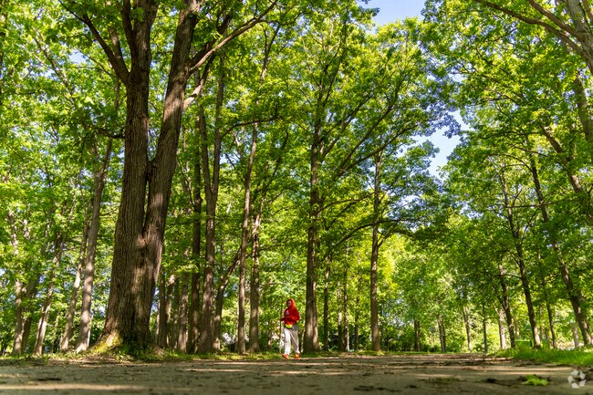 Max Brandon Park offers 107 acres of wooded walking trails, picnic areas, and a playground in Flint.