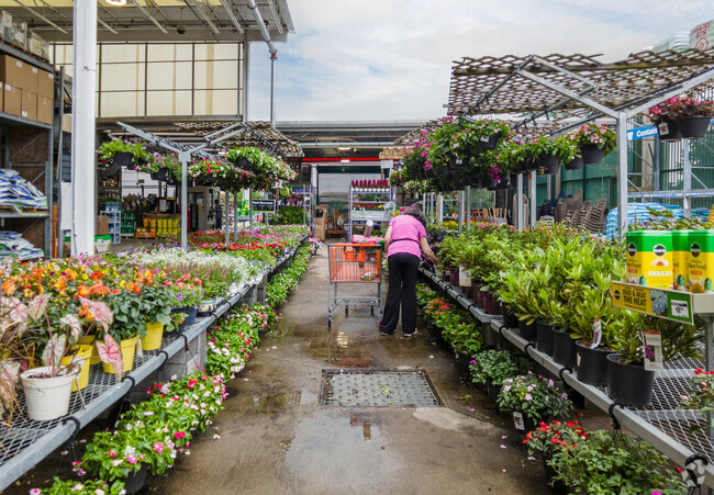 Stop by Home Depot and pick up plants for your Pimlico Good Neighbors home.