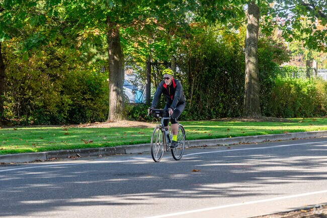 Take a bike ride through the New Market neighborhood and take in the surrounding scenery.