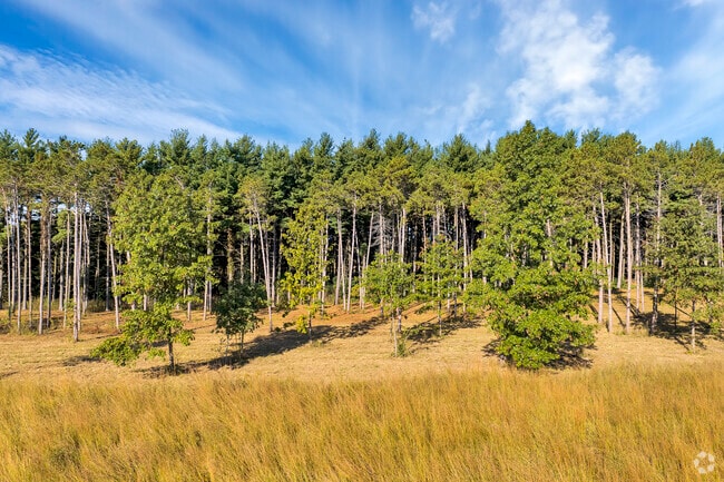 Tall trees and scenic views enhance the natural beauty of Enterprise.