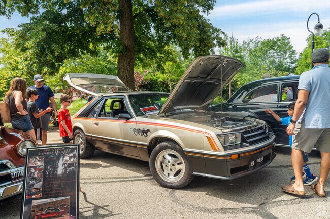 Admirers of all ages enjoy the selection of cars at the annual Naperville Classic Car Show.