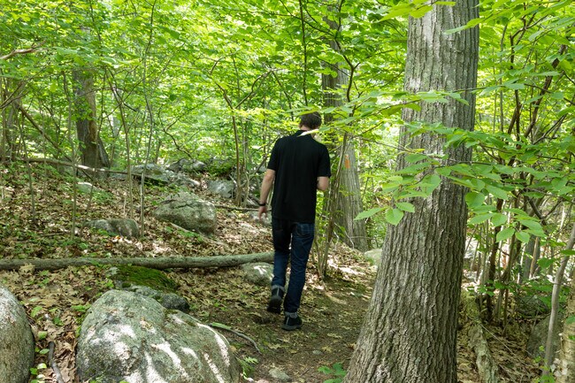 The Harold A. King Town Forest in Victory Road is a great area to go for a hike or dog walk.