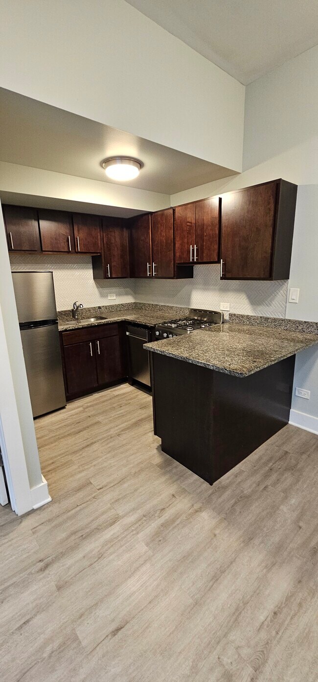 1437 N Dearborn St unit B4, Chicago, IL 60610 - photo 6