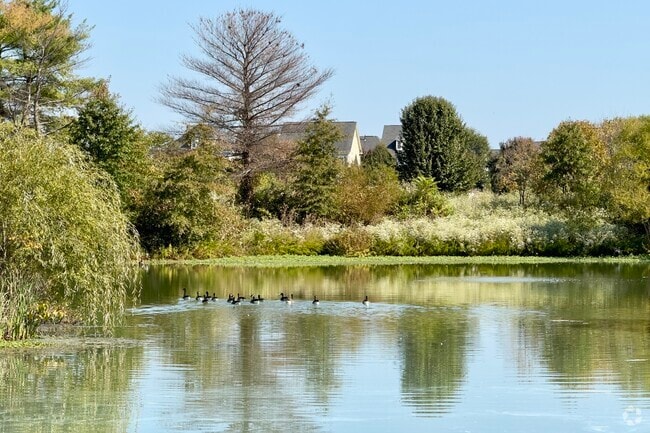 Bristow residents can enjoy a walk around the various ponds in the area.